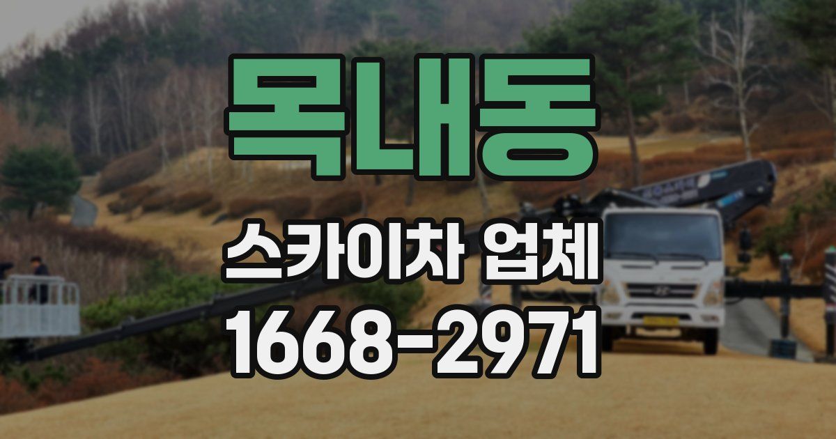 목내동 스카이차 업체