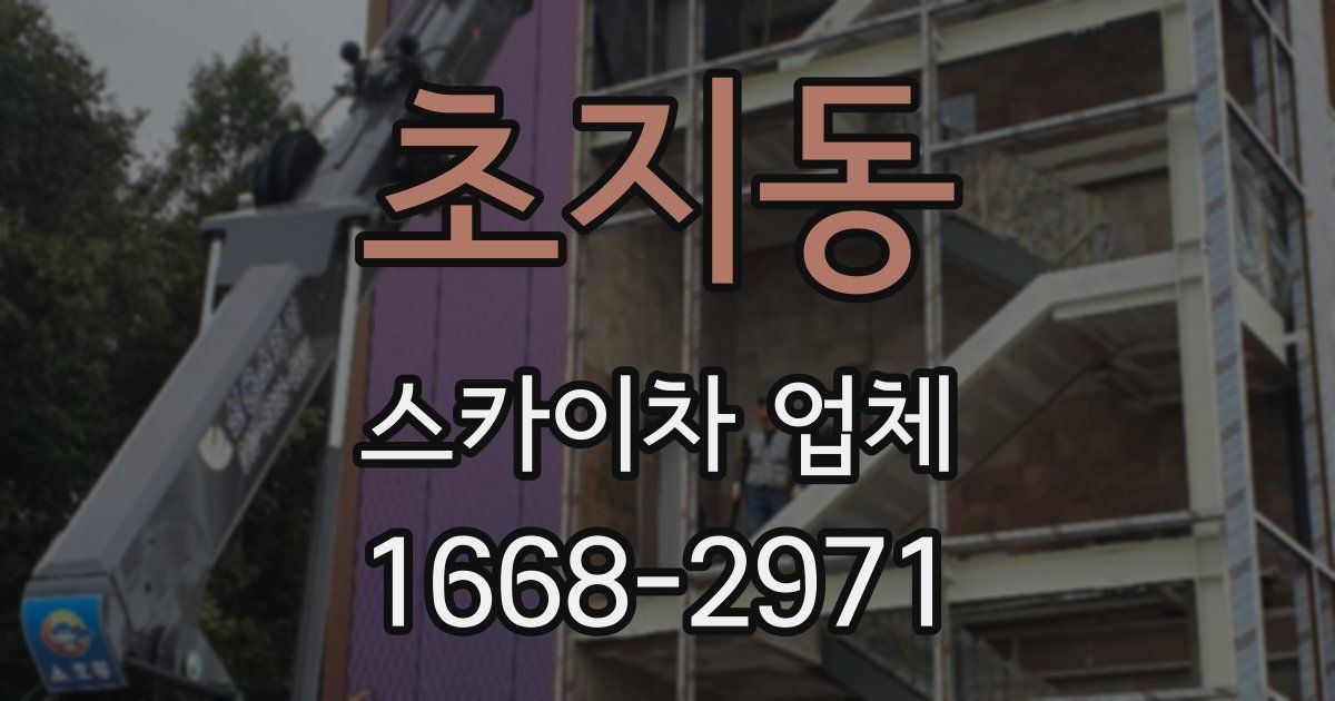 초지동 스카이차 업체