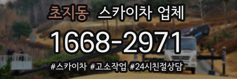 초지동 스카이차 업체
