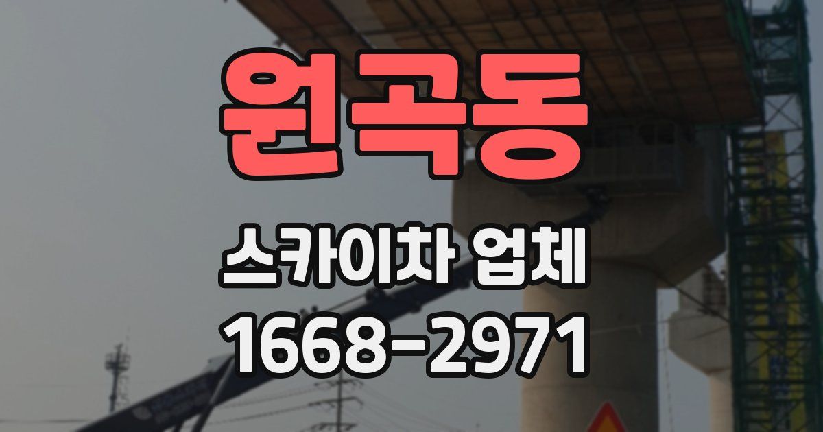 원곡동 스카이차 업체