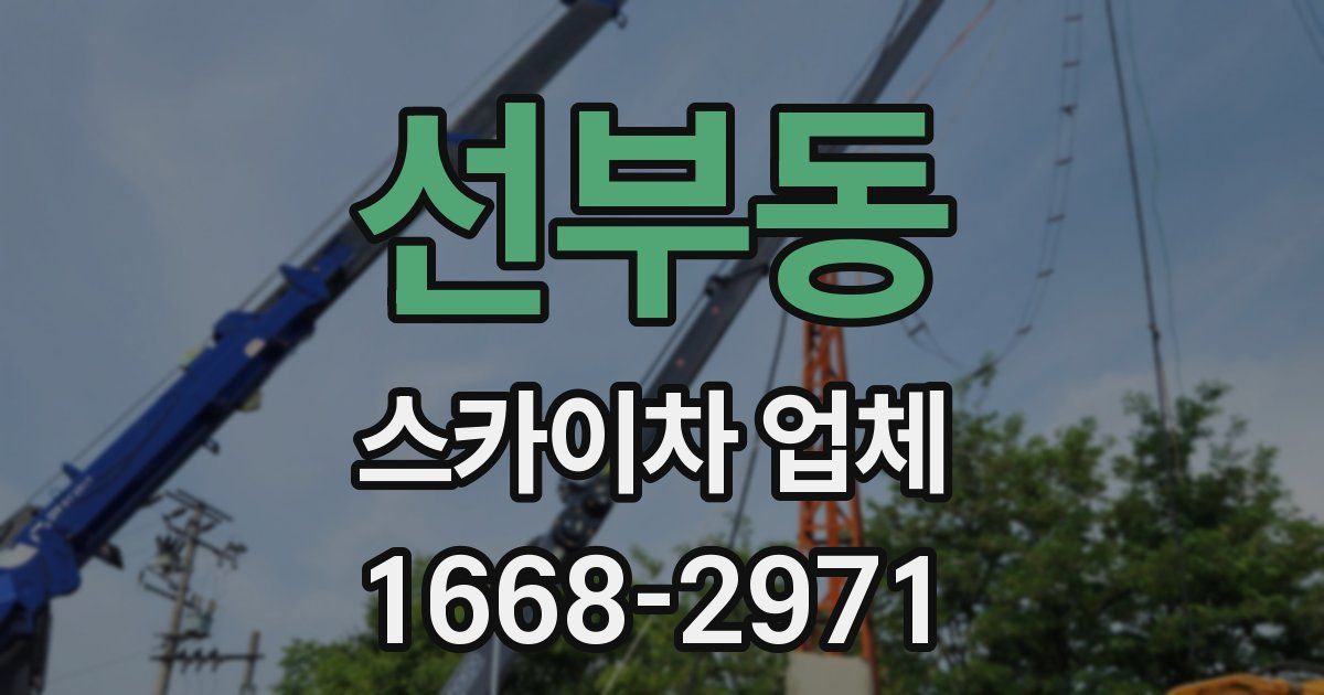 선부동 스카이차 업체