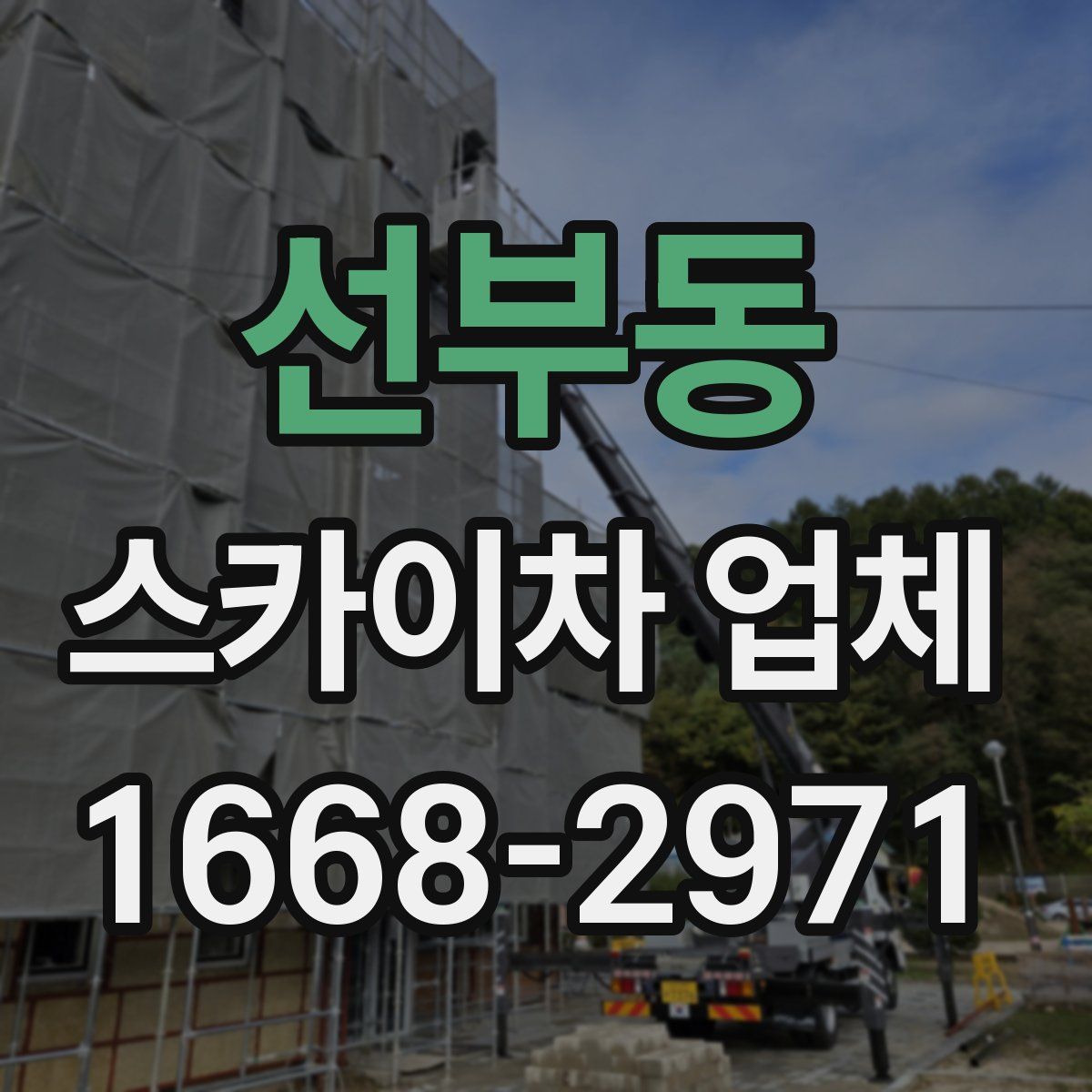 선부동 스카이차 업체