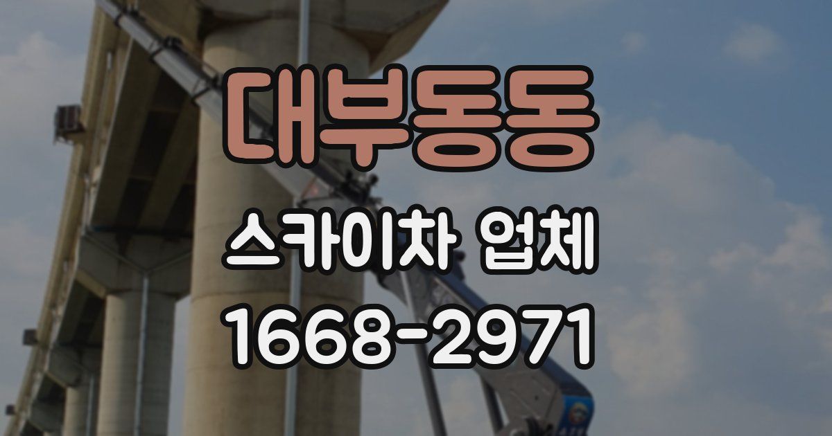 대부동동 스카이차 업체