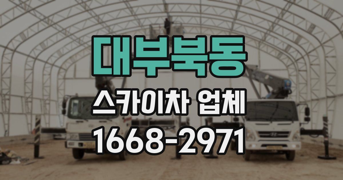 대부북동 스카이차 업체