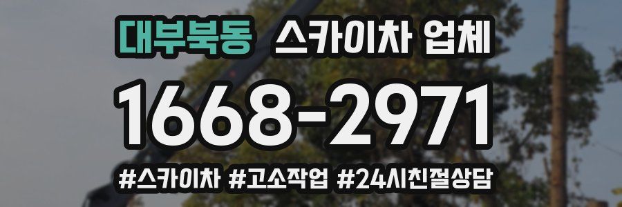대부북동 스카이차 업체