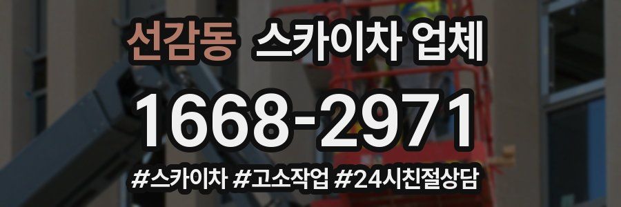 선감동 스카이차 업체