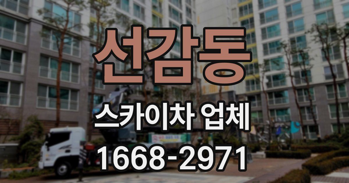 선감동 스카이차 업체