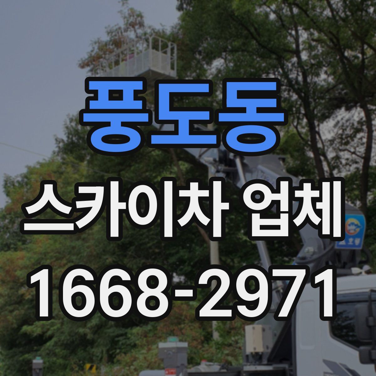 풍도동 스카이차 업체