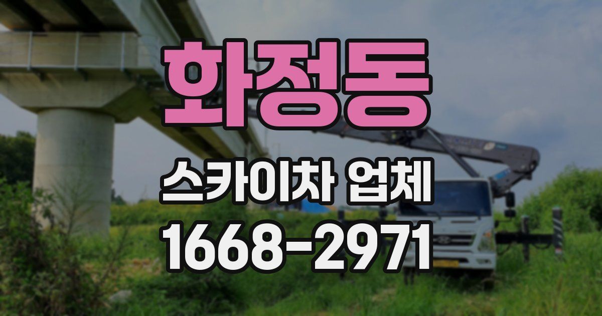화정동 스카이차 업체