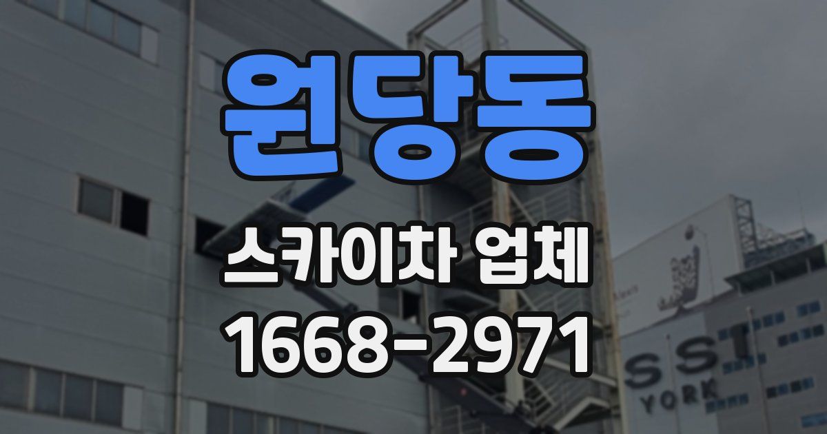 원당동 스카이차 업체