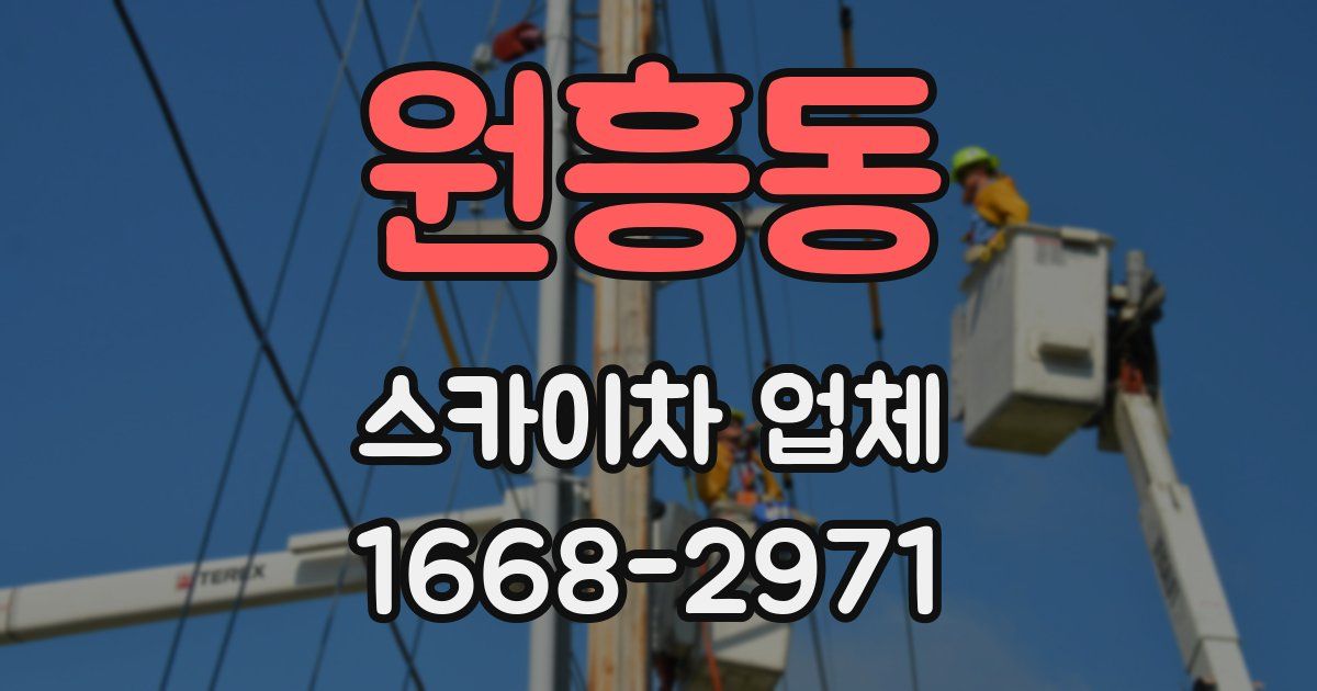원흥동 스카이차 업체