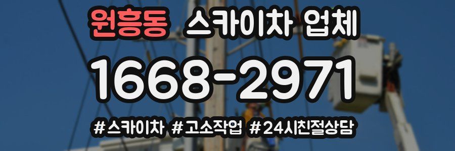 원흥동 스카이차 업체