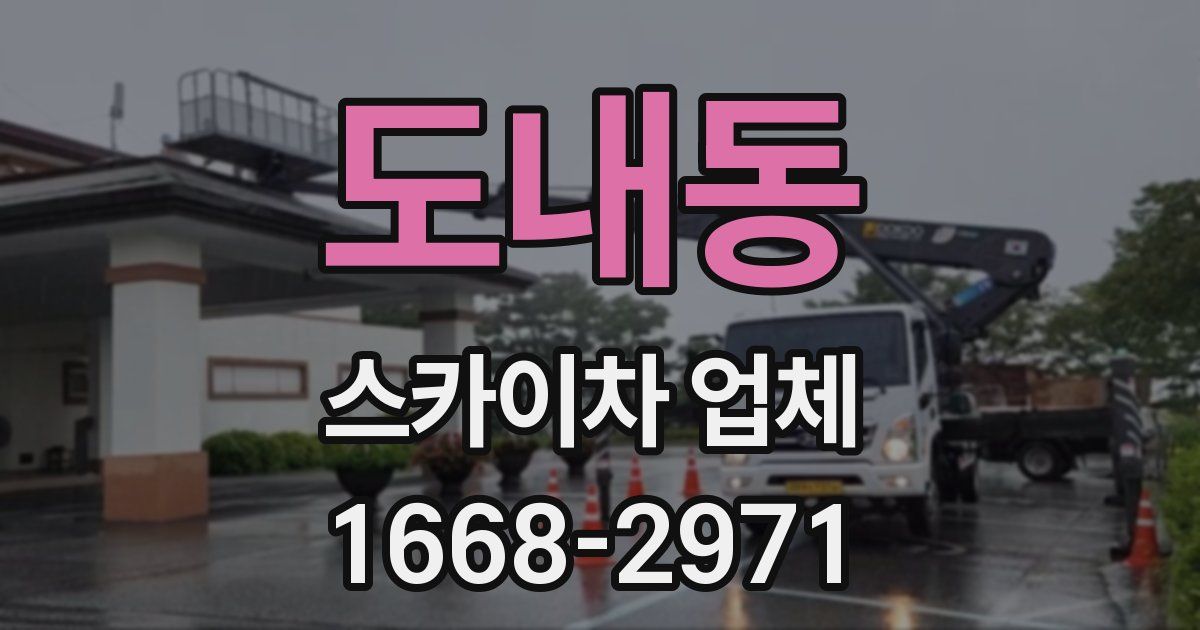 도내동 스카이차 업체