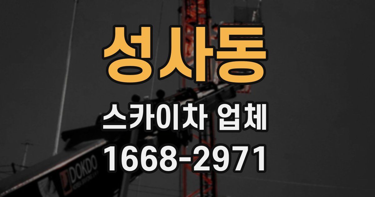 성사동 스카이차 업체