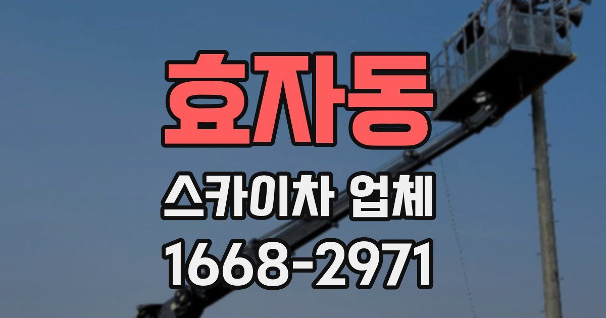 효자동 스카이차 업체