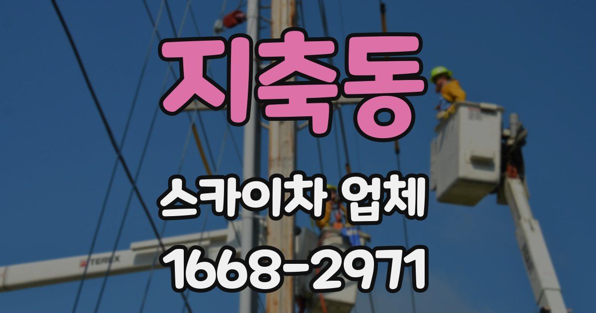 지축동 스카이차 업체