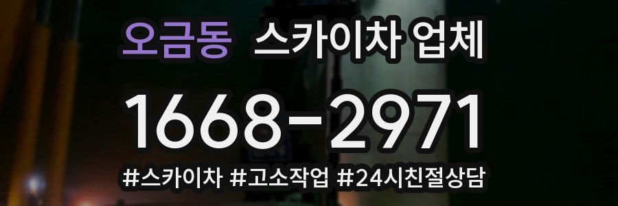 오금동 스카이차 업체