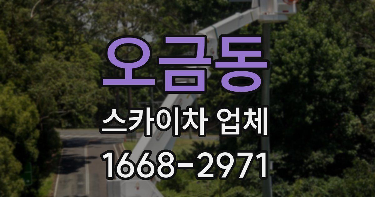오금동 스카이차 업체