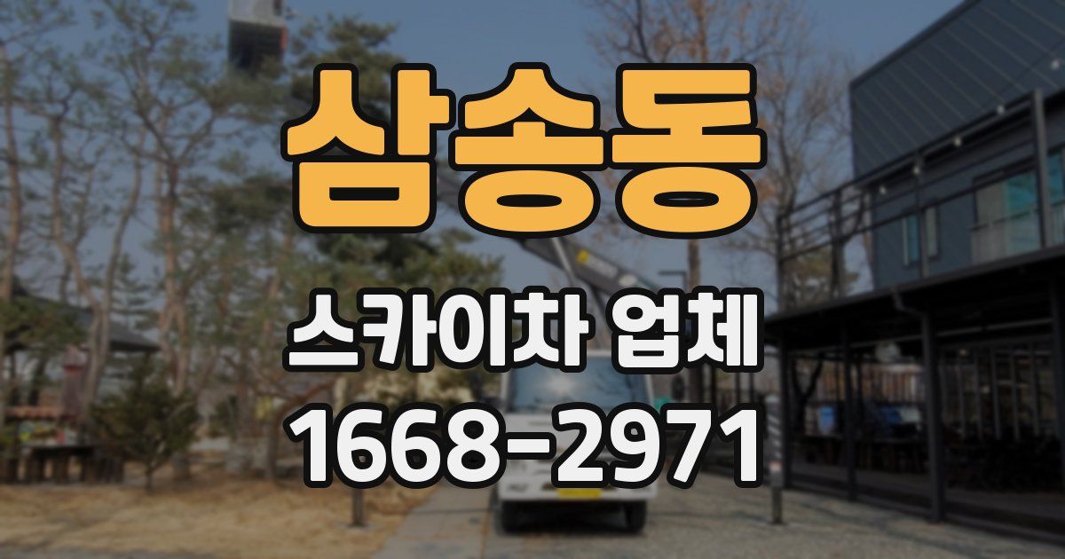 삼송동 스카이차 업체