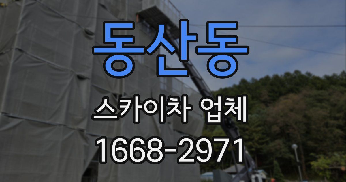 동산동 스카이차 업체