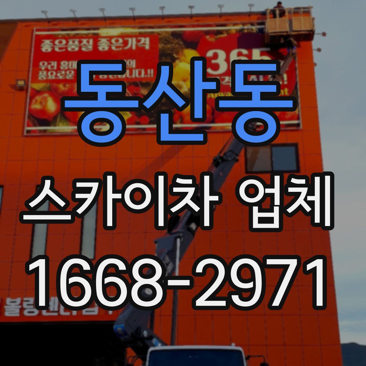 동산동 스카이차 업체