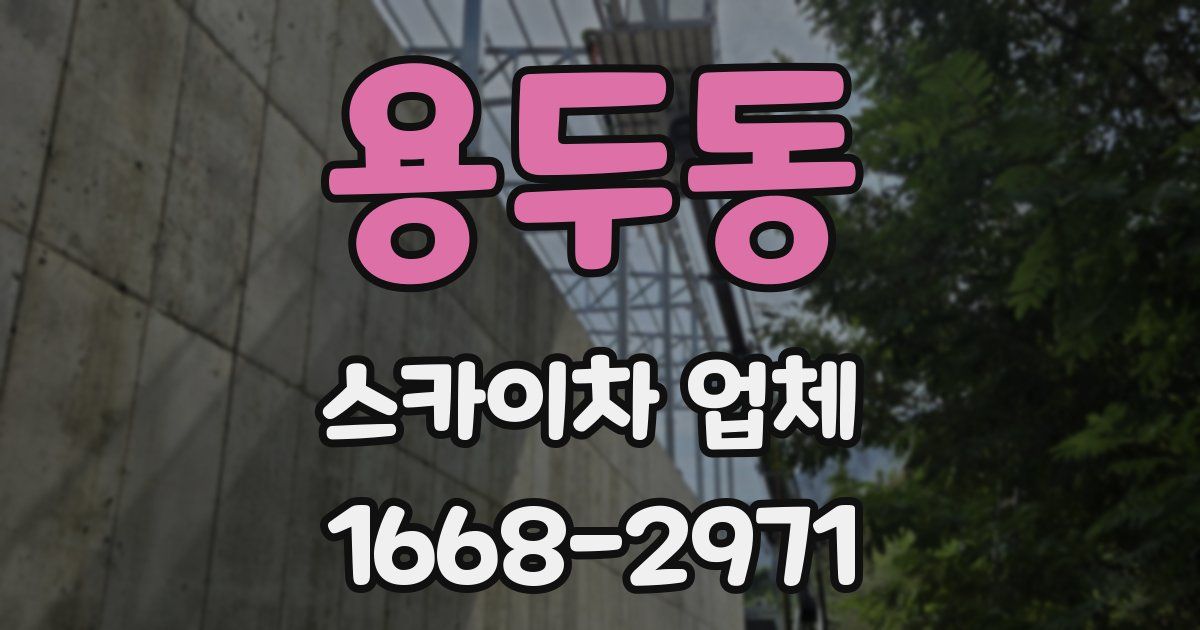 용두동 스카이차 업체