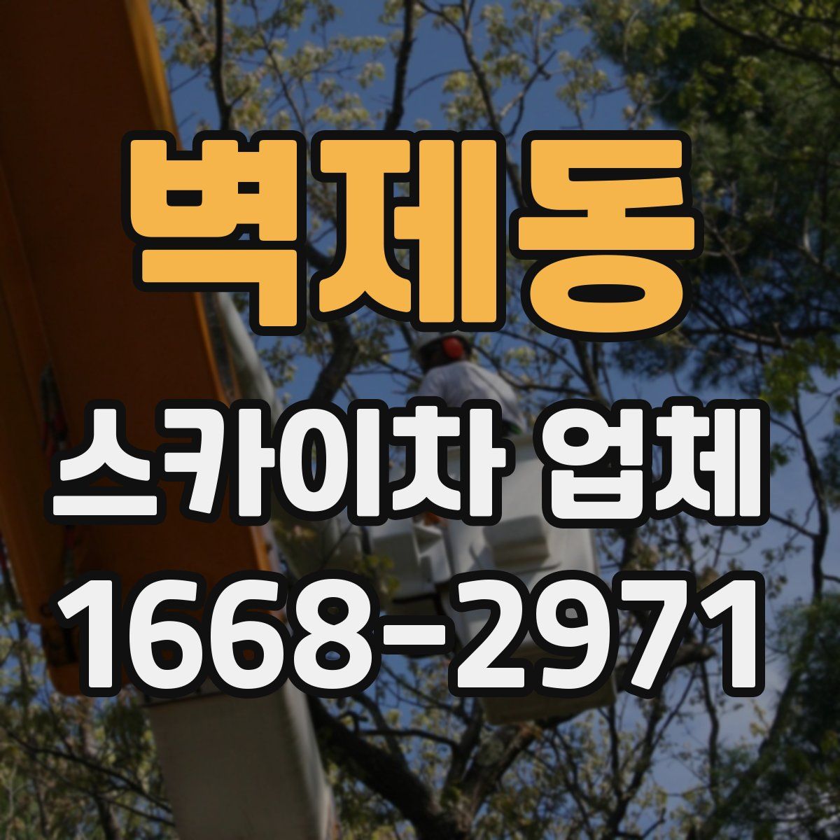 벽제동 스카이차 업체