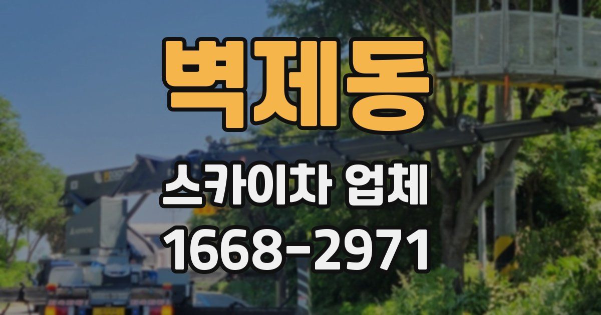 벽제동 스카이차 업체