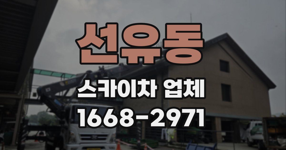 선유동 스카이차 업체