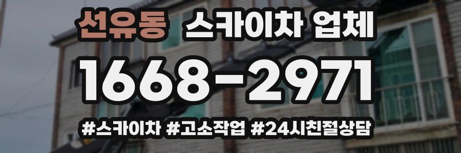 선유동 스카이차 업체