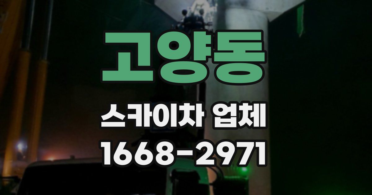 고양동 스카이차 업체