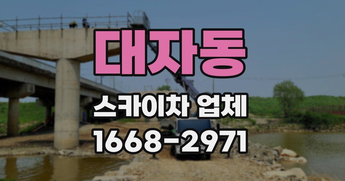 대자동 스카이차 업체