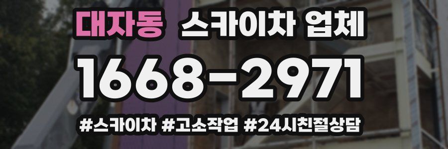 대자동 스카이차 업체