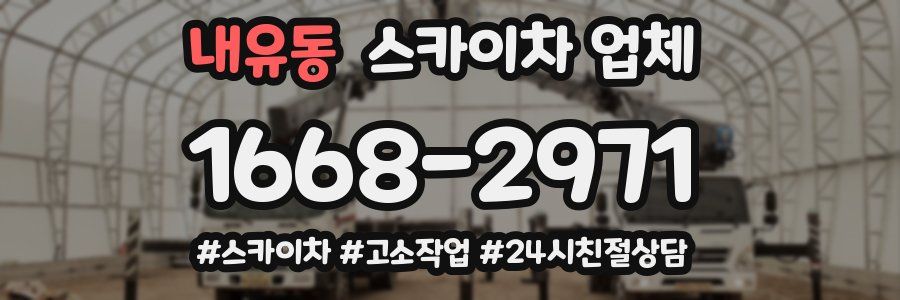 내유동 스카이차 업체