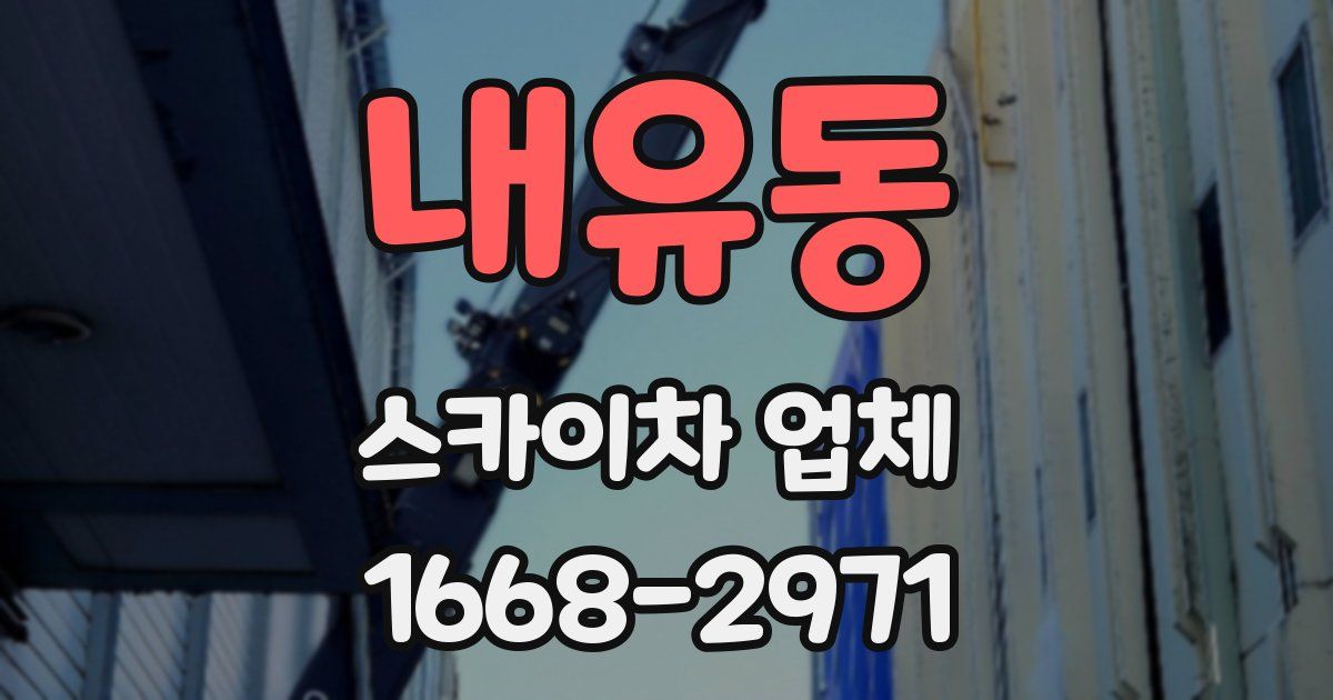 내유동 스카이차 업체