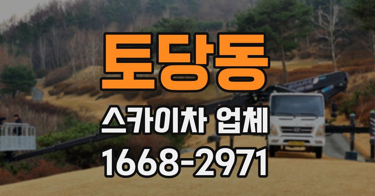 토당동 스카이차 업체