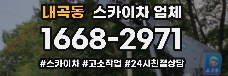 내곡동 스카이차 업체