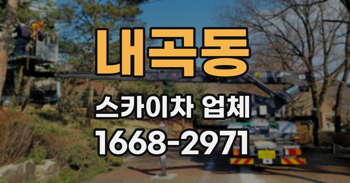 내곡동 스카이차 업체