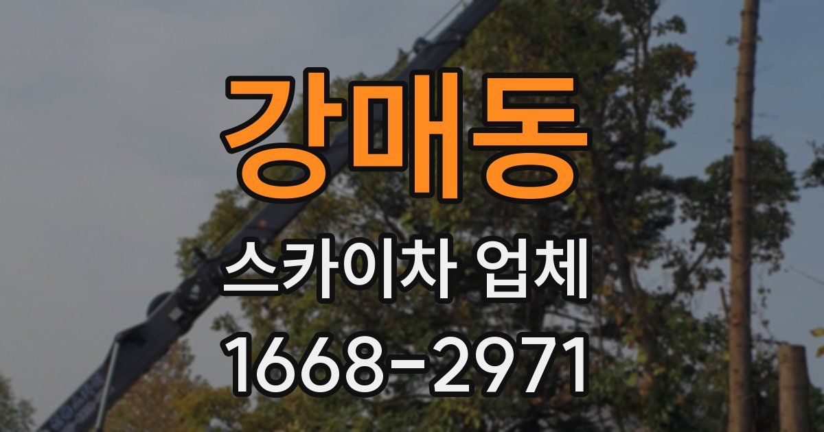강매동 스카이차 업체