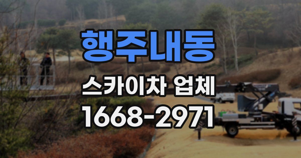 행주내동 스카이차 업체