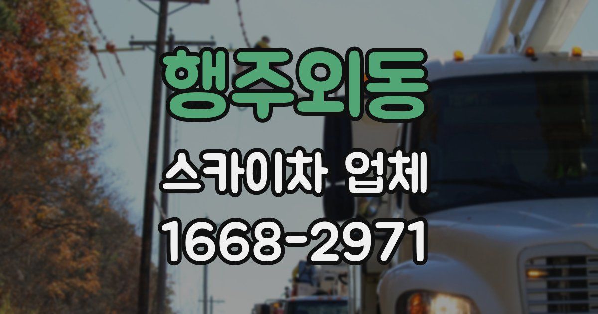 행주외동 스카이차 업체