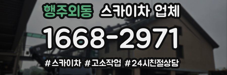 행주외동 스카이차 업체