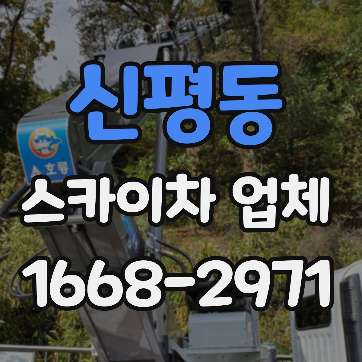신평동 스카이차 업체