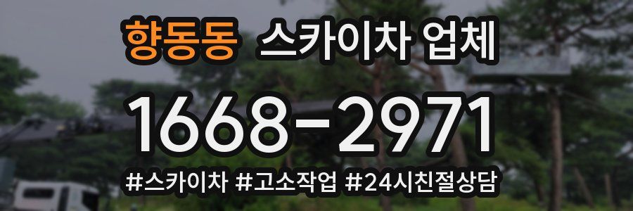 향동동 스카이차 업체