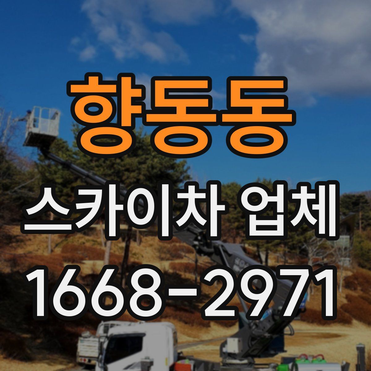 향동동 스카이차 업체
