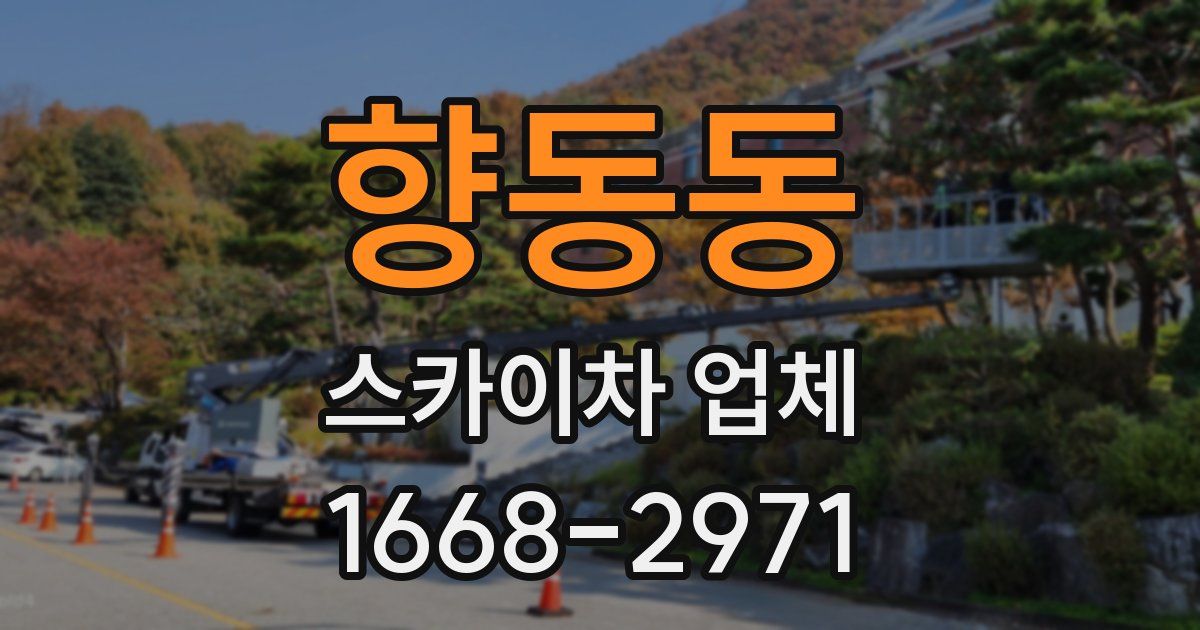 향동동 스카이차 업체