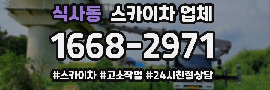 식사동 스카이차 업체