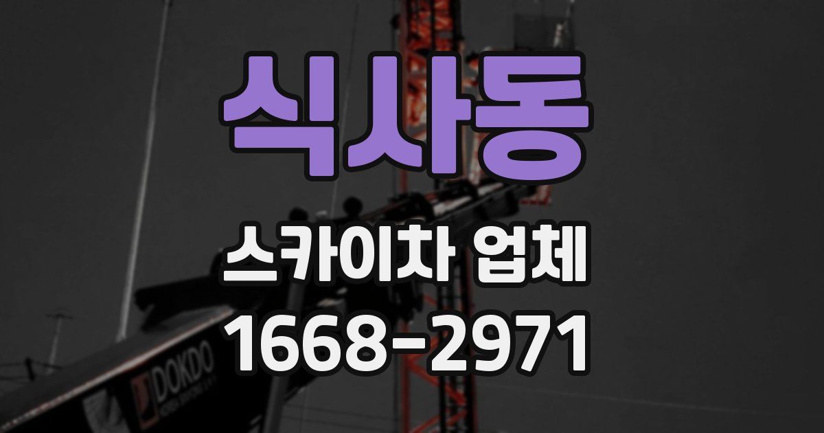 식사동 스카이차 업체