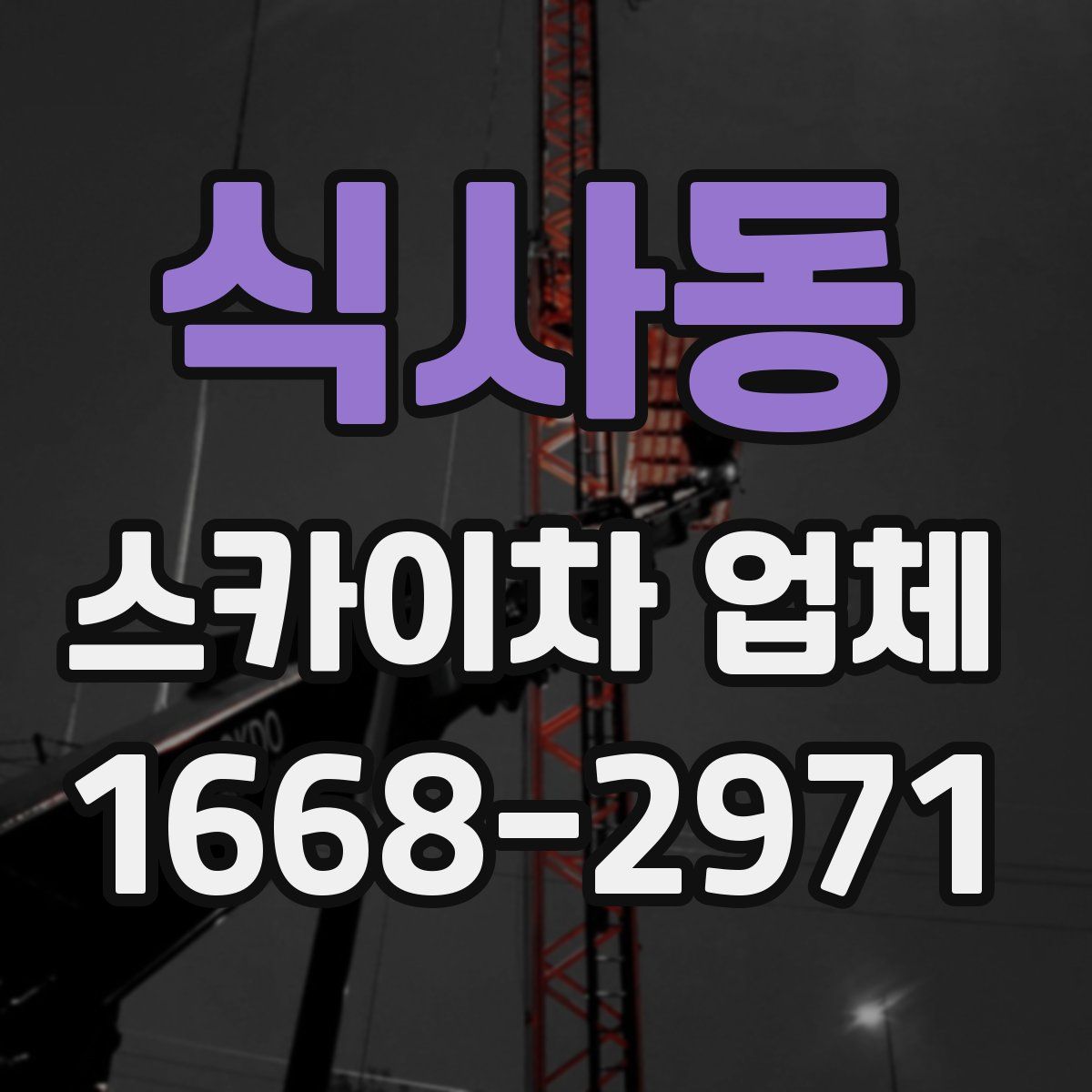 식사동 스카이차 업체