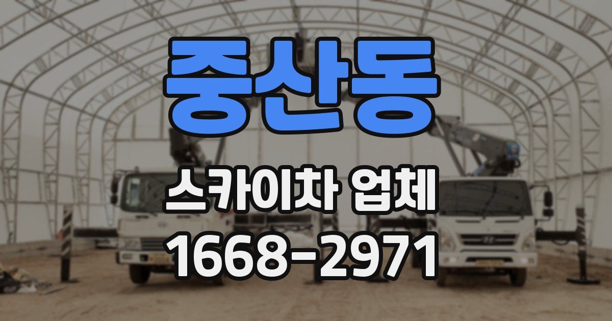 중산동 스카이차 업체